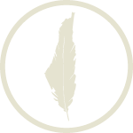 An update from the One Democratic State Initiative